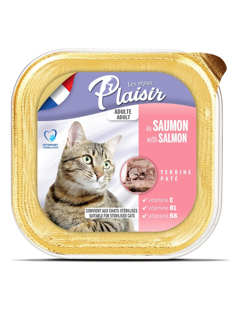 PATE POUR CHAT AU SAUMON 100G