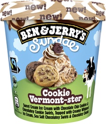 [8711327539624] BEN &amp; JERRY'S SUNDAE COOKIE VERMONSTER 427ML
