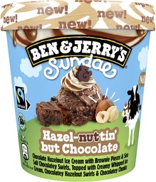 [8711327539877] BEN &amp; JERRY'S POT SUNDAE HAZEL NUTIN BUT CHOCOLATE 344G